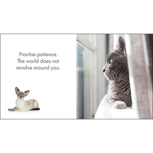 Inspirational Quote Book - A Little Book of Purrfection