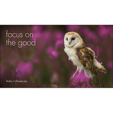 Load image into Gallery viewer, Inspirational Quote Book - A Little Book of Owl Wisdom
