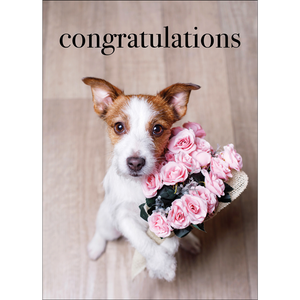 Greeting Card - Congratulations to You