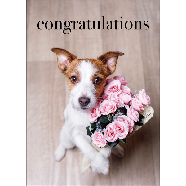 Greeting Card - Congratulations to You