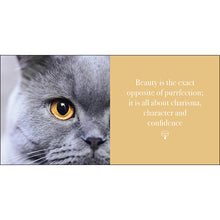 Load image into Gallery viewer, Inspirational Book - The Power of Meows
