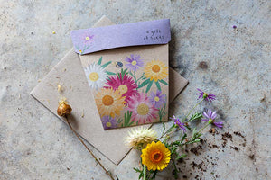 Sow n Sow Native Daisies Gift of Seeds (Australia only)