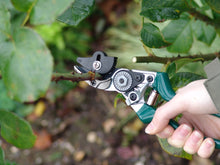 Load image into Gallery viewer, Burgon &amp; Ball RHS Rose Pruner
