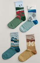Load image into Gallery viewer, Seasalt Sailor Socks box of 4 - Scenic Hall Walk Mix
