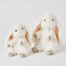 Load image into Gallery viewer, The Bunny Family Set of 2
