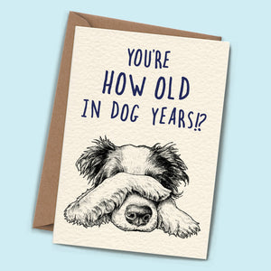 Birthday Card - Your How Old in Dog Years?