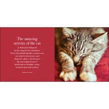 Load image into Gallery viewer, Inspirational Book - The Great Catsby
