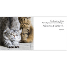 Load image into Gallery viewer, Inspirational Book - The Great Catsby
