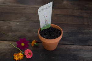 Sow n Sow Wildflowers Gift of Seeds (Australia only)