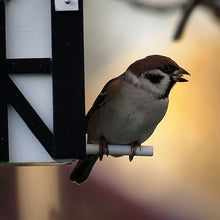 Load image into Gallery viewer, Birdhouse/Feeder - White &amp; Blue
