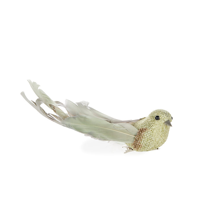 Cordy Bird - Moss