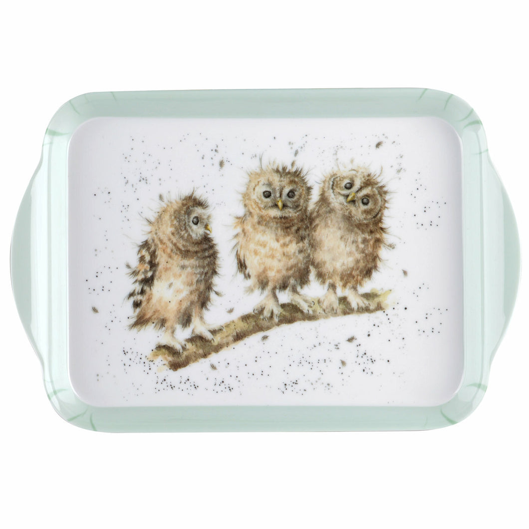 Wrendale Designs Scatter Tray - Owls